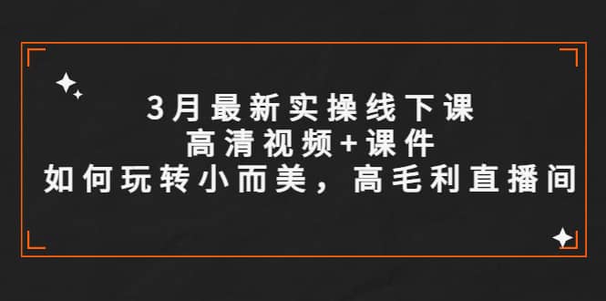 3月最新实操线下课高清视频+课件,如何玩转小而美,高毛利直播间