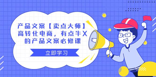 产品文案【卖点大师】高转化电商,有点牛X的 产品文案必修课