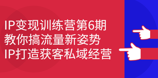IP变现训练营第6期:教你搞流量新姿势,IP打造获客私域经营