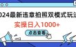 2024最新违章拍照双模式玩法，实操日入1000+