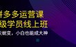 拼多多运营课：超级学员线上班，21天蜕变，小白也能成大神
