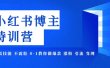 小红书博主爆款特训营-11期 无需技能 不露脸 0-1教你做爆款 涨粉 引流 变现