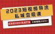 2023短视频导流·私域变现课，日导流3000+私域打法  日销售额2w+