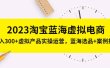 2023淘宝蓝海虚拟电商，虚拟产品实操运营，蓝海选品+案例拆解