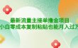 公众号最新流量主接单撸金项目