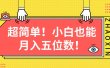 超简单图文项目！小白也能月入五位数
