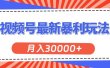 视频号最新暴利玩法，轻松月入30000+