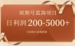 视频号蓝海项目，0基础在家也能做，一天200-5000+【附266G资料】
