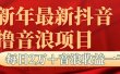抖音音浪掘金项目每日2万＋音浪高收益1000＋