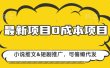 最新项目 0成本项目，小说推文短剧推广，可偷懒代发