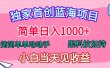 独家首创蓝海项目，简单日入1000+，简简单单动动手，黑科技加持，小白当天见收益