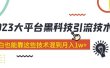 价值4899的2023大平台黑科技引流技术 29节课