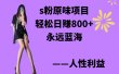 s粉原味项目，轻松日赚800+，永远的蓝海项目，无脑操作也能直接出单 人…
