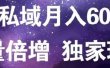 原力网赚精准私域月入60000+,流量倍增独家玩法