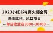 2023小红书电商火爆全网，新晋红利，风口项目，单店收益在3000-30000