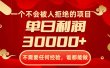 一个不会被人拒绝的项目，不需要任何经验，谁都能做，单日利润30000+