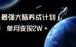 冷门虚拟项目，最强大脑养成计划，一个月变现2W＋