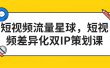 短视频流量星球，短视频差异化双IP策划课（2023新版）