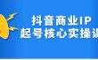 抖音商业IP起号核心实操课，带你玩转算法，流量，内容，架构，变现