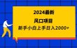 2024最新风口项目 新手小白日入2000+