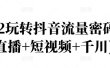2022玩转抖音流量密码，(直播+短视频+千川)