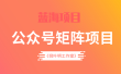 蓝海公众号矩阵项目训练营，0粉冷启动，公众号矩阵账号粉丝突破30w
