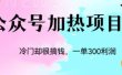 冷门公众号加热项目，一单利润300+