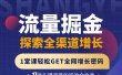 张琦流量掘金探索全渠道增长，1堂课轻松GET全网增长密码
