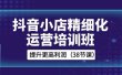 抖音小店-精细化运营培训班，提升更高利润（38节课）