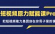 短视频原力赋能课Pro，把短视频能力基因刻在你骨子里的课（价值4999元）