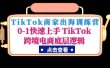 TikTok商家出海训练营：0-1快速上手 TikTok跨境电商底层逻辑(无水印)