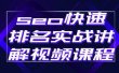 seo快速排名实战讲解视频课程，揭秘seo快排原理