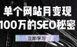 单个网站月变现100万的SEO秘密，百分百做出赚钱站点