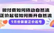 9月份新版正价起号，微付费如何撬动自然流，正价起号如何撕开自然流