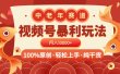 视频号暴力玩法 100%原创 小白轻松上手 可矩阵 月入10000+