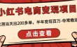 小红书电商变现项目：实测当天出200多单