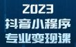 抖音小程序变现保姆级教程：0粉丝新号 无需实名 3天起号 第1条视频就有收入