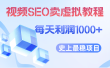 视频SEO出售虚拟产品 每天稳定2-5单 利润1000+ 史上最稳定私域变现项目
