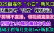 2025每月躺赚5w+新机会，闲置视频账号一键代发玩法，0粉不实名不剪辑，领了视频直接发，0基础小白也能日入300+