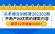 头条爆文训练营202202期，不断产出优质的爆款内容