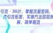 引流·36计，掌握流量密码，快速引流拓客，实操方法层层拆解，简单高效
