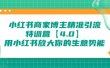 小红书商家 博主精准引流特训营【4.0】用小红书放大你的生意势能
