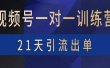 视频号训练营：带货，涨粉，直播，游戏，四大变现新方向，21天引流出单