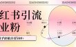 小红书私域引流无脑操作法：AI生成内容，粉丝自动转化，新手轻松日引500+创业粉