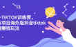 海外TIKTOK训练营，百万项目海外版抖音tiktok流量变现玩法