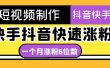 短视频油管动画-快手抖音快速涨粉：一个月粉丝突破6位数 轻松实现经济自由