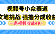 视频号小众赛道，文笔挑战，一条视频收益4K+