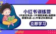 小红书训练营：7天定位实战+7天爆款拆解+选题库搭建实战+21天笔记实操实战