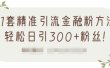 1套精准引流金融粉方法，轻松日引300+粉丝【视频课程】