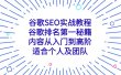 谷歌SEO实战教程：谷歌排名第一秘籍，内容从入门到高阶，适合个人及团队